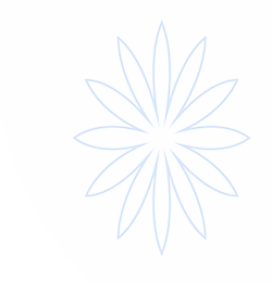 白鲸加速器官网 | 极速连接，智能加速