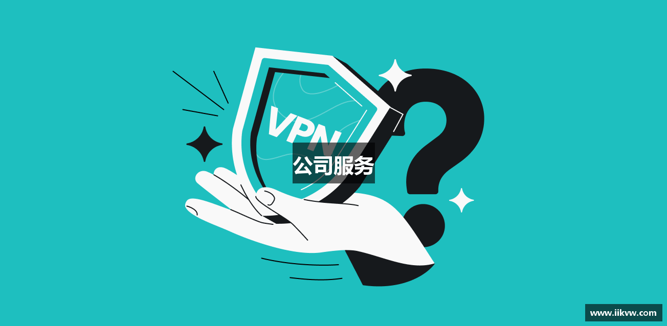 公司服务- 白鲸加速器官网 | 极速连接，智能加速